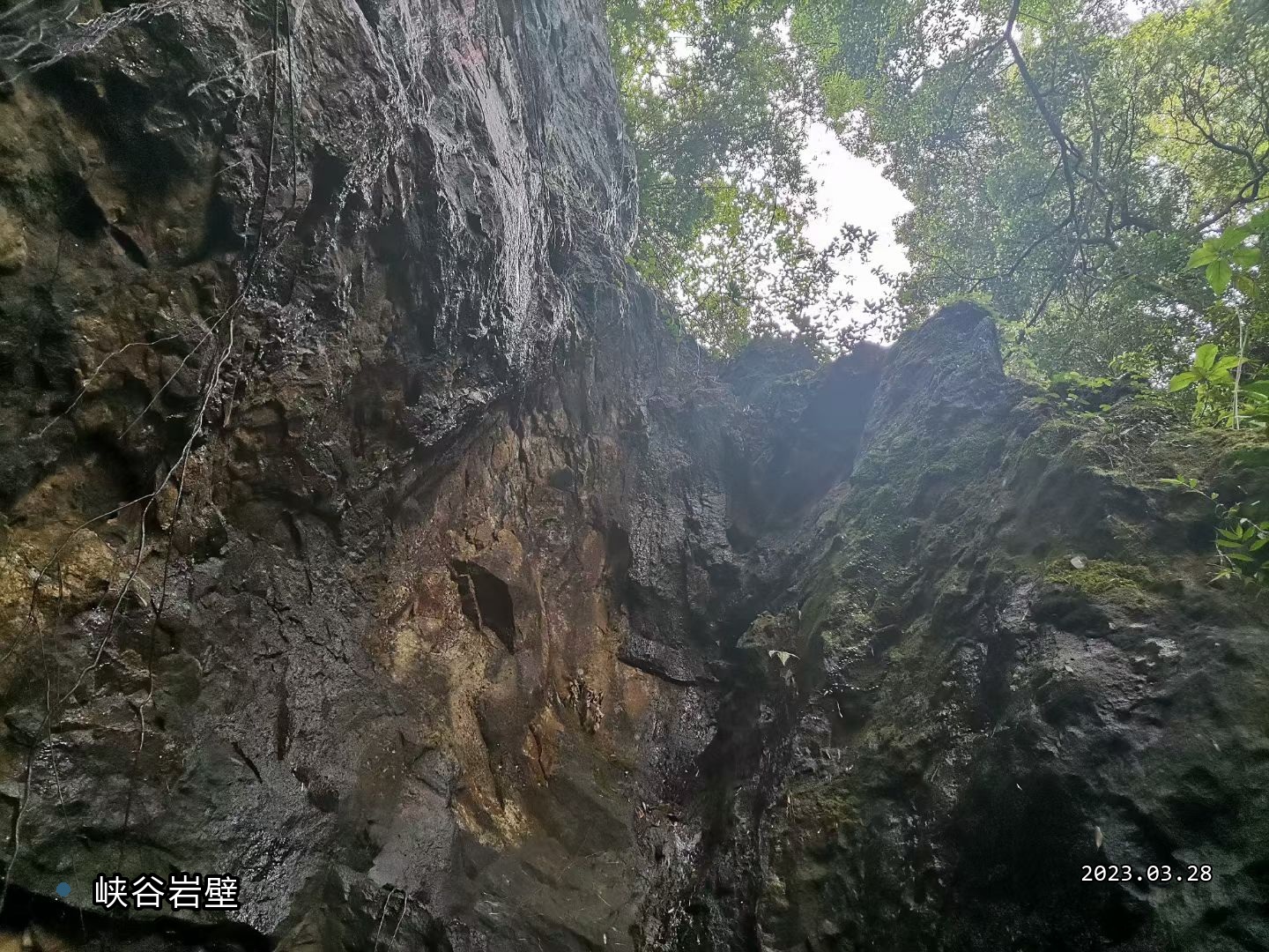 西樵山230328-5-峡谷岩壁.jpg